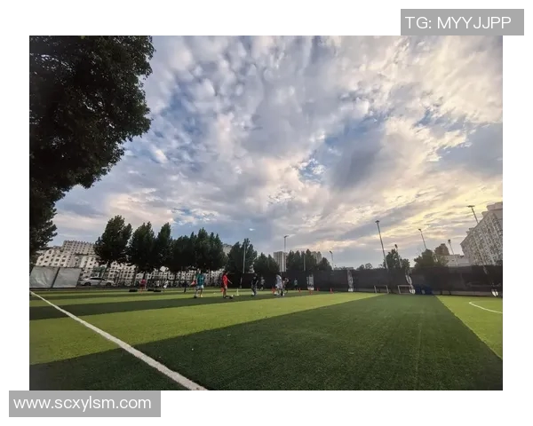 壮壮的足球明星在绿茵场上的拼搏与荣耀之路